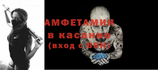 сатива Михайловка